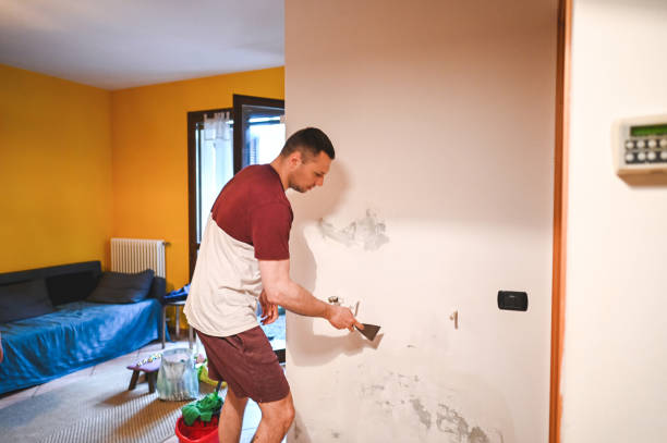 Attic Mold Removal in Groveton, VA